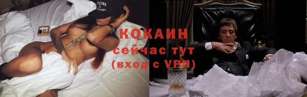 соль курить ск Новозыбков