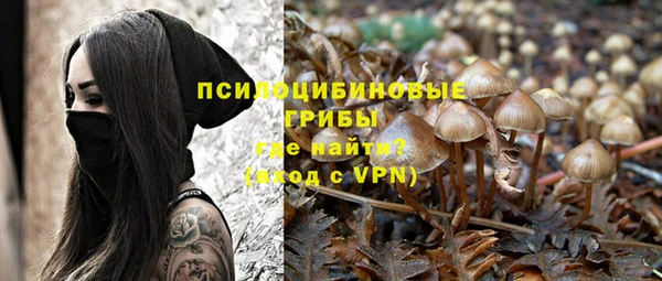 ALPHA-PVP Новодвинск