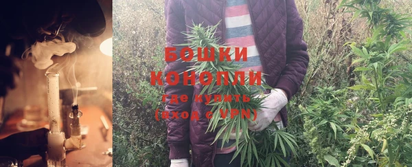 гидра Нязепетровск