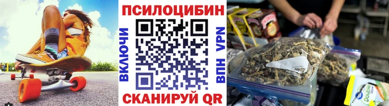 Галлюциногенные грибы Psilocybine cubensis  мориарти Telegram  блэк спрут вход  Колпашево  купить наркоту 